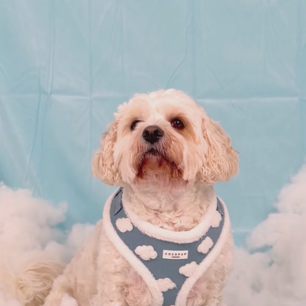 Cloud Nine Adjustable Neck HARNESS