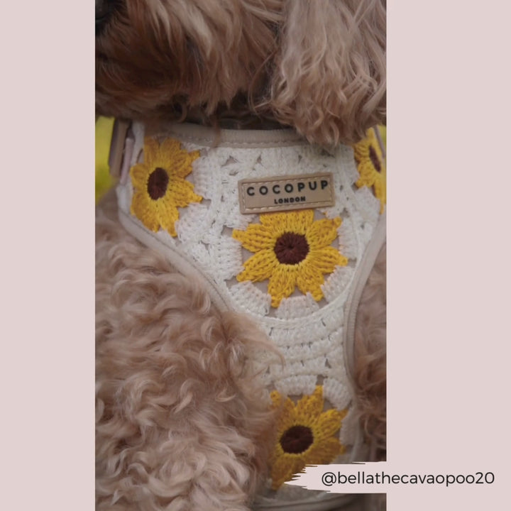 Sunflower Patch Adjustable Neck Harness