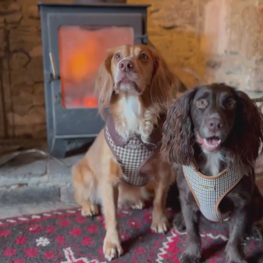 Heritage Check Adjustable Neck Harness, Lead & Collar Bundle