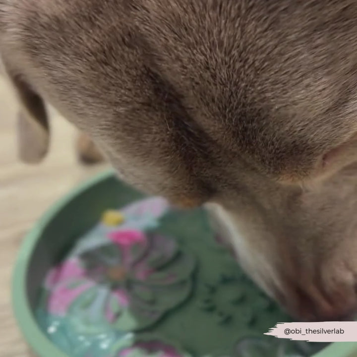 Silicone Slow Feed Dog Bowl - Sage Flowers