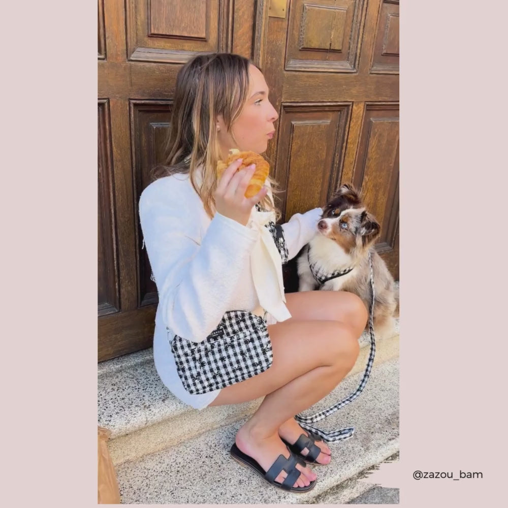 Dog Walking Bag - Pup in Paris