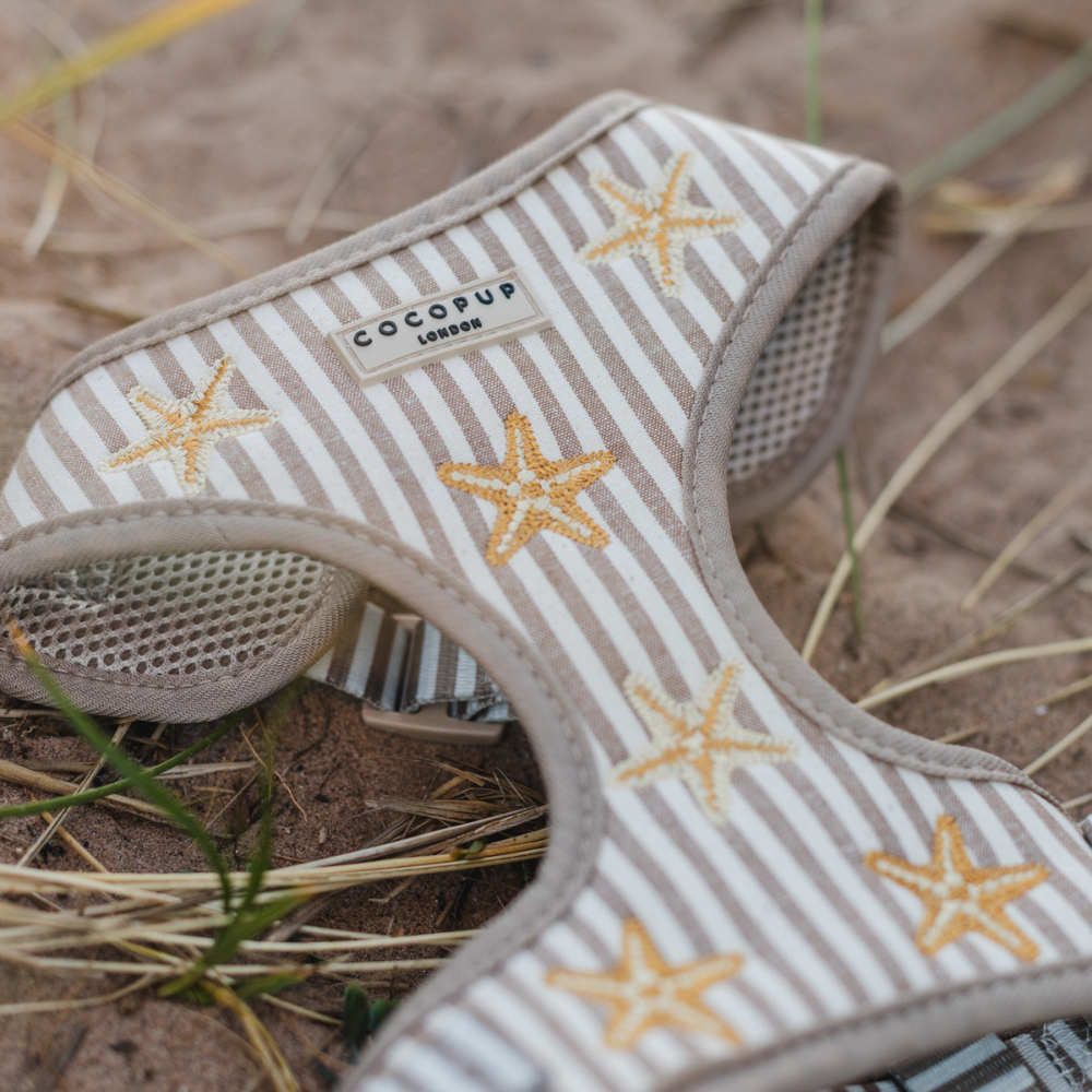 Sandy Starpaws Adjustable Neck HARNESS