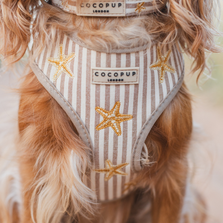 Sandy Starpaws Adjustable Neck HARNESS