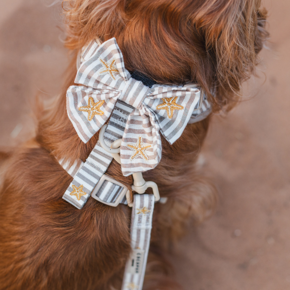 Sandy Starpaws Sailor Bow Tie