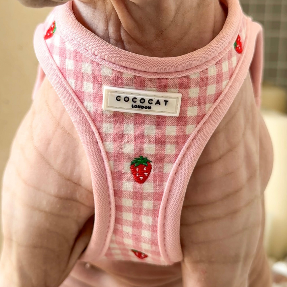 Cat Harness - Strawberry Picnic