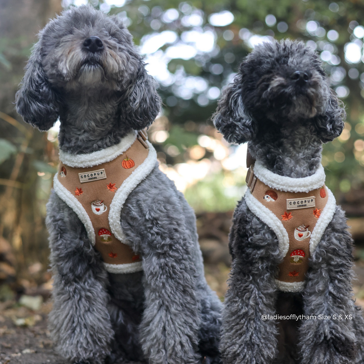 two black fluffy dogs outside wearing a tan and white trim harness with autumn-themed embroidered details including a pumpkin, mushroom, coffee cup, and leaves. The brand label reads 'COCOPUP LONDON'.