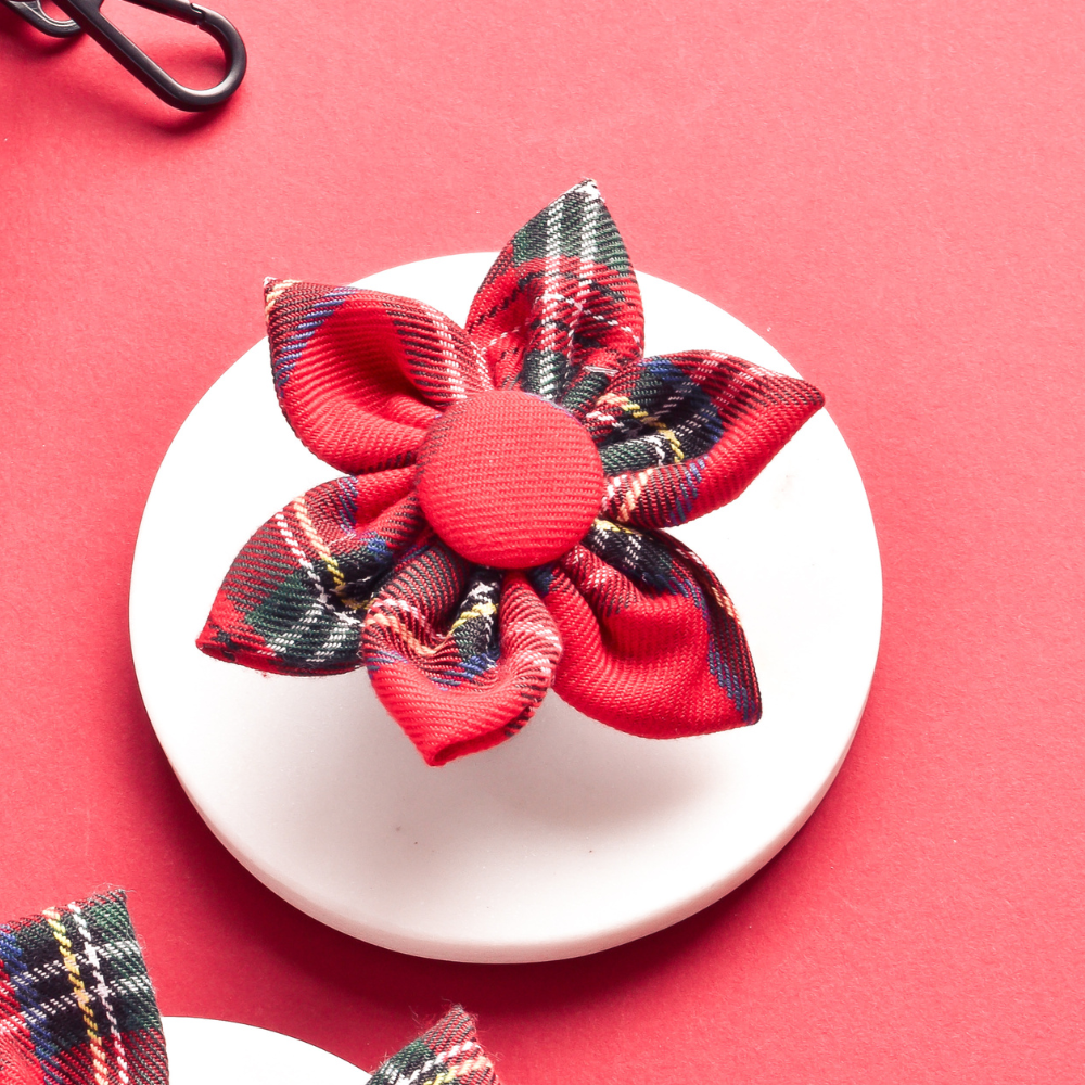 Tartan Collar Flower