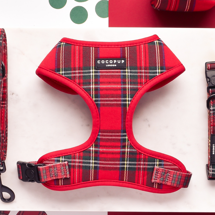 Tartan Adjustable Neck Harness