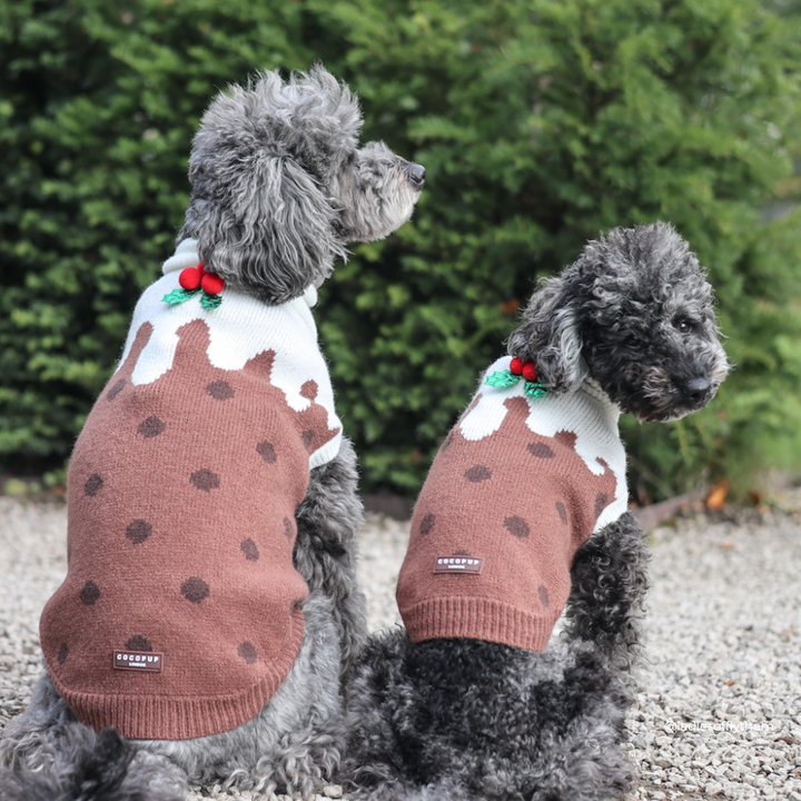 Two gray dogs wearing matching brown knit sweaters with white icing-like trim, dark polka dots, and small red and green decorative accents, photographed outdoors on gravel with greenery in the background.