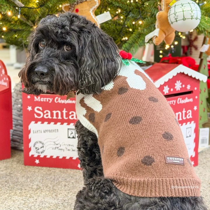 A black curly-haired dog wearing a brown knit Christmas sweater with white and dark brown polka dots, sitting in front of red Santa mailboxes and a decorated Christmas tree.