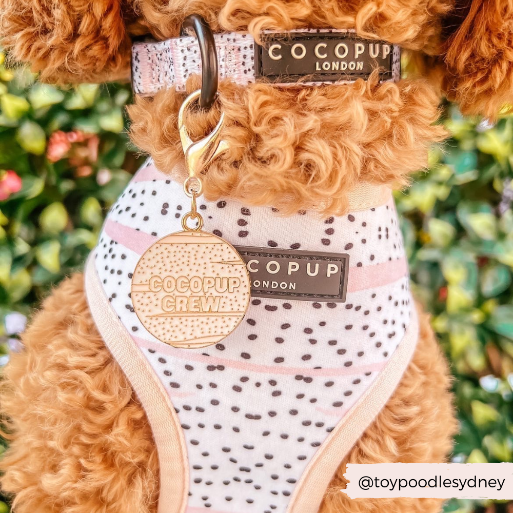 Dog Collar Charm - Cocopup Crew
