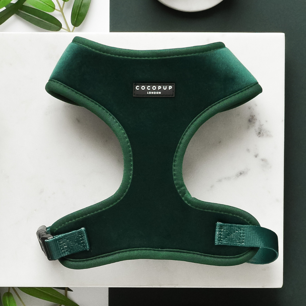 LUXE Velvet Adjustable Neck Harness - Forest Green