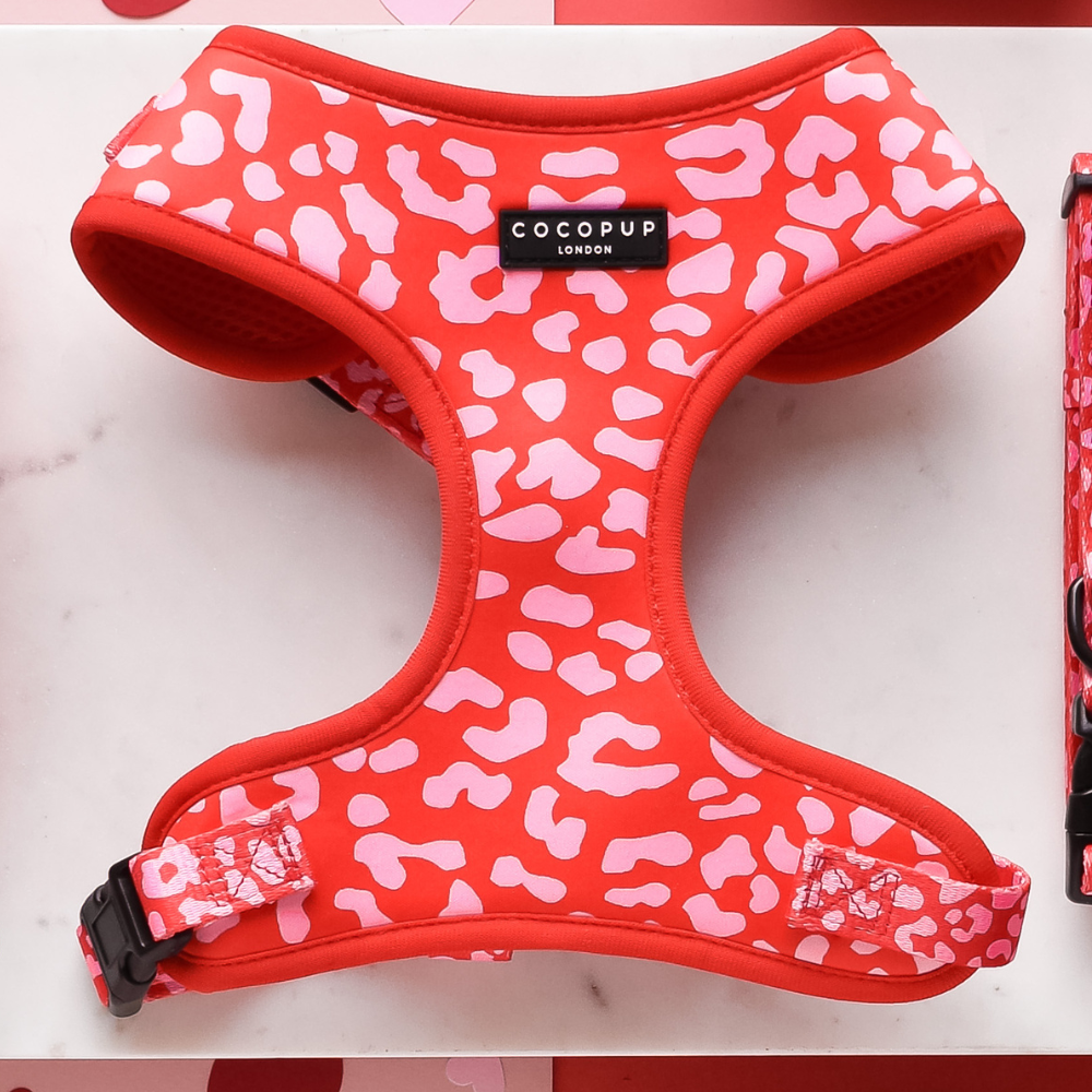 red and pink leopard print adjustable dog harness 