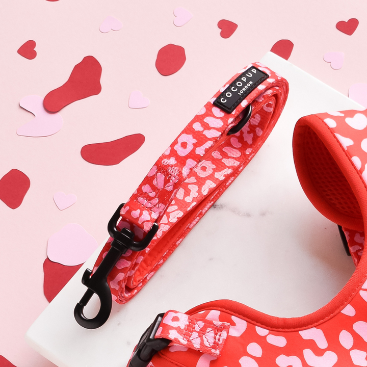 Red & Pink Leopard Lead