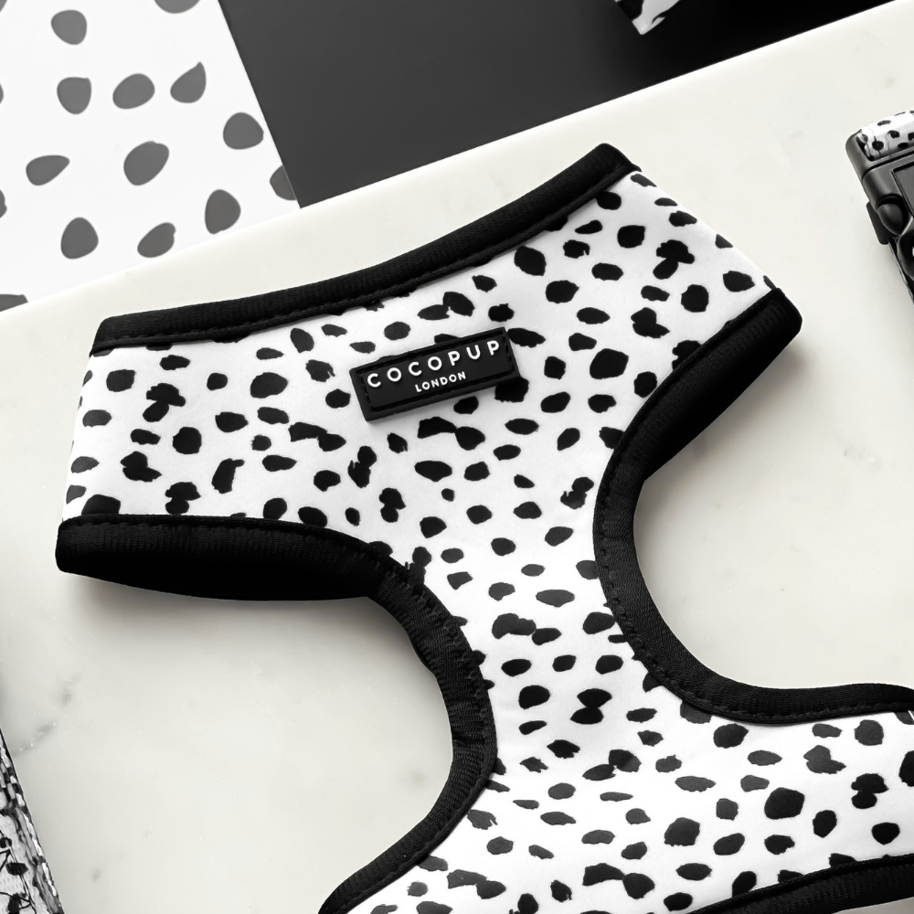 black and white spotted dog harness