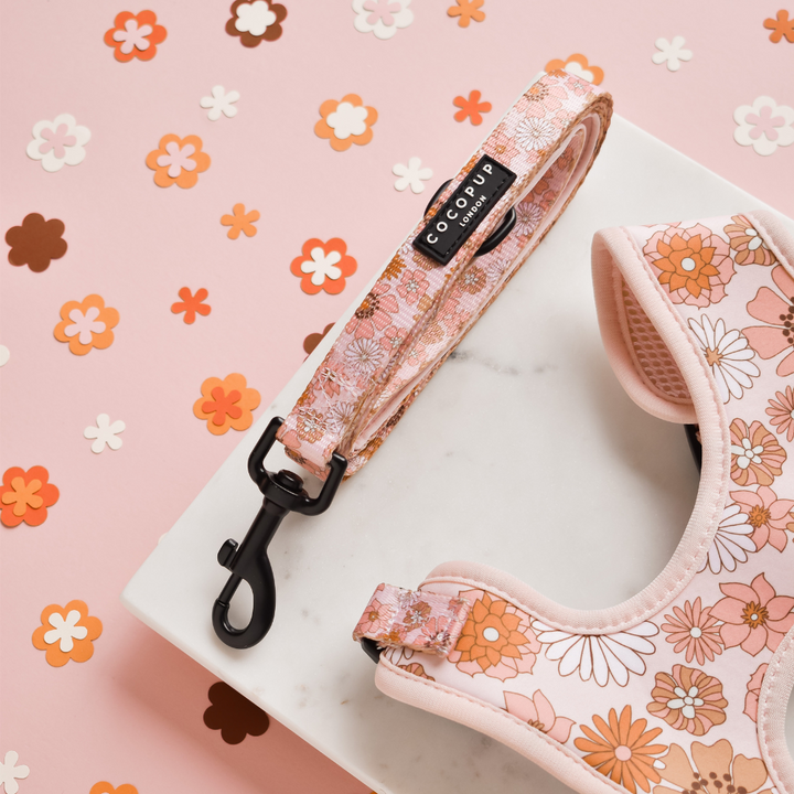 Dog Lead with nude, pink, brown and white floral pattern from the Groovy Florals collection.